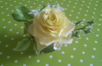 Eine Rose ist eine Rose...