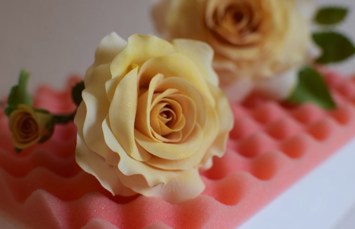 Rosen zum 90. Geburtstag