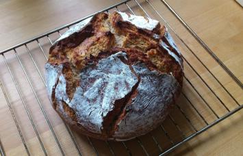 Grundwissen Backen - Sauerteig