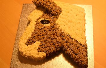 4 schnelle Schritte zur Pony-Torte