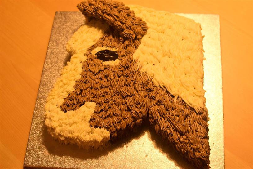 Pony-Torte