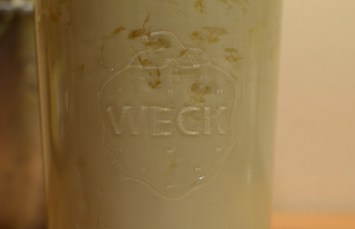 Kefir selbstgemacht - Teil 1